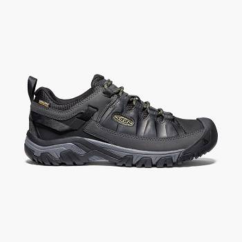 KEEN Férfi Targhee III Waterproof Túracipő Fekete